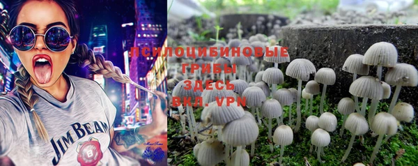 MESCALINE Няндома