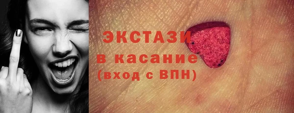 гидра Новодвинск