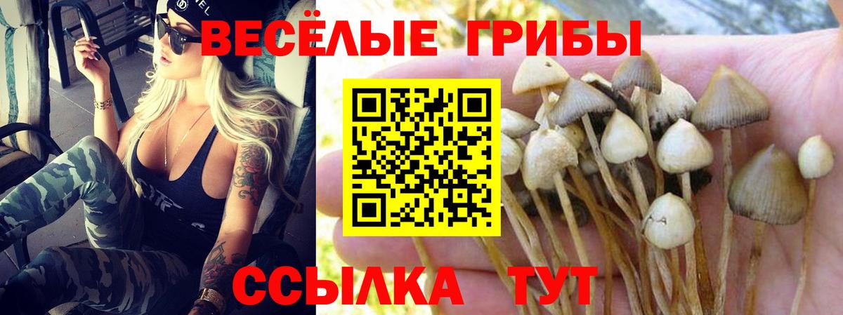 Псилоцибиновые грибы мухоморы  Вход с VPN  Галлюциногенные грибы прущие грибы  Ноябрьск 