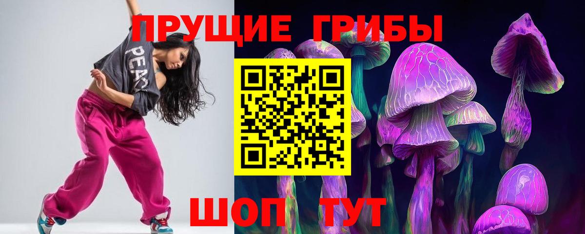 купить  сайты  Ноябрьск  Псилоцибиновые грибы прущие грибы 